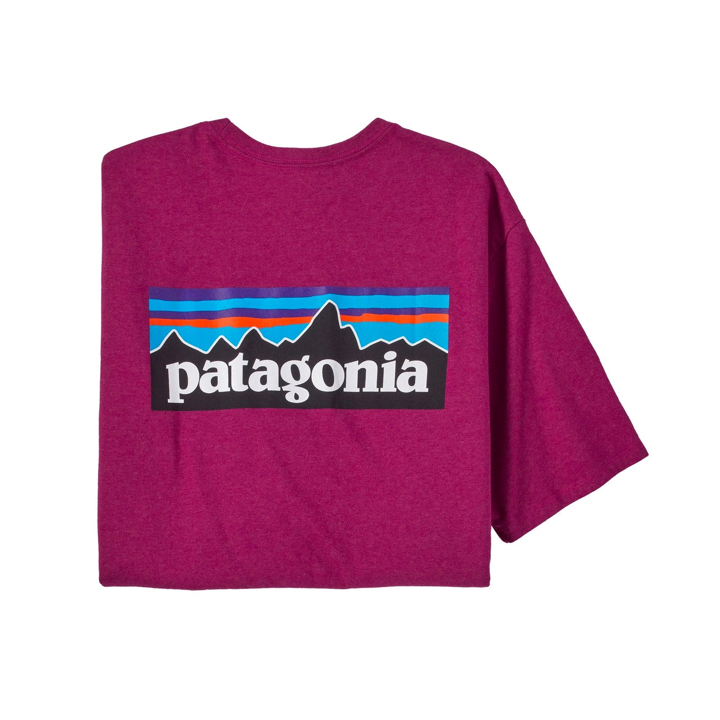 Patagonia P-6 Logo Responsibili-Tee Men's S/S T-Shirt