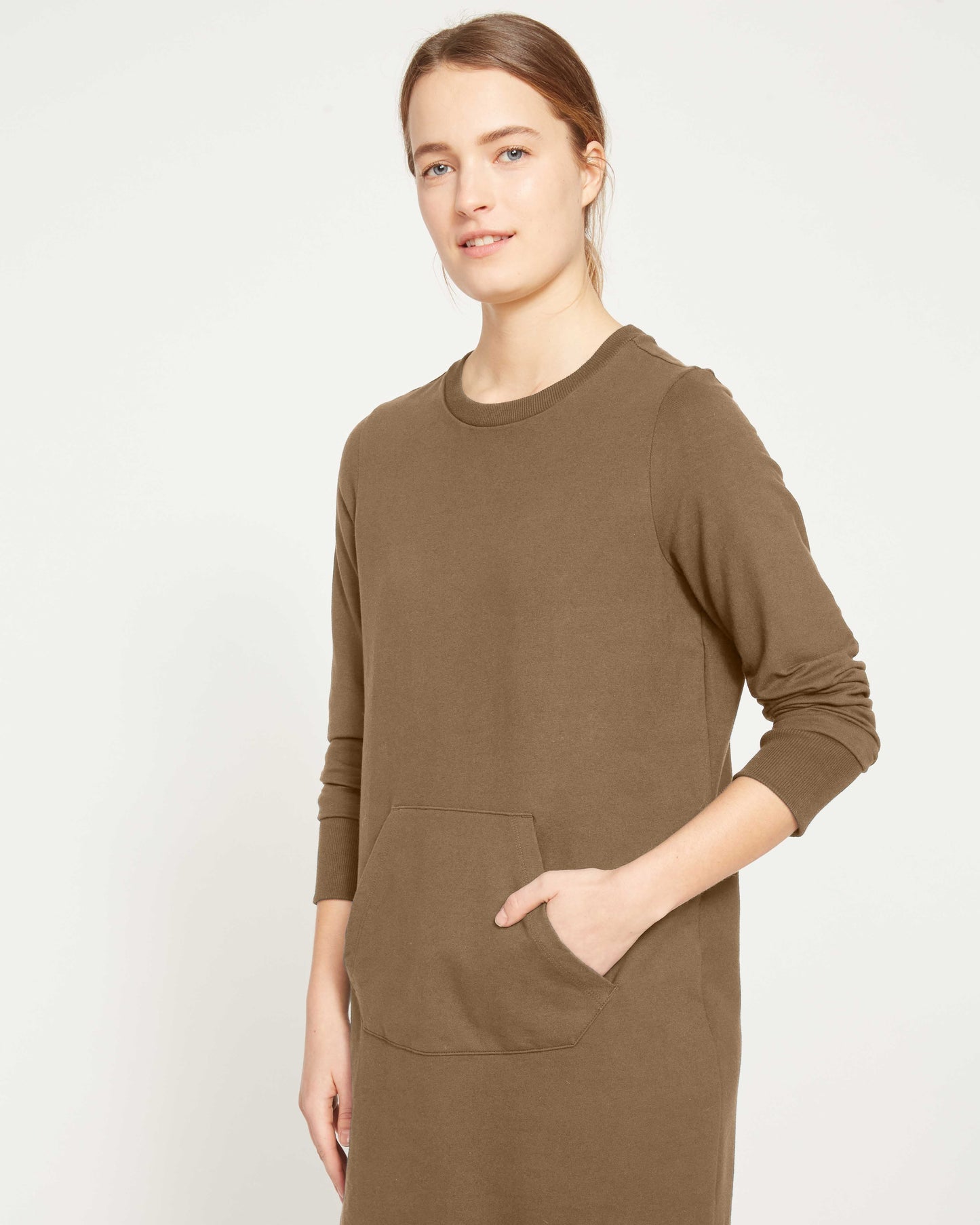 Classic Light Terry Sweatshirt Dress - Crocodile