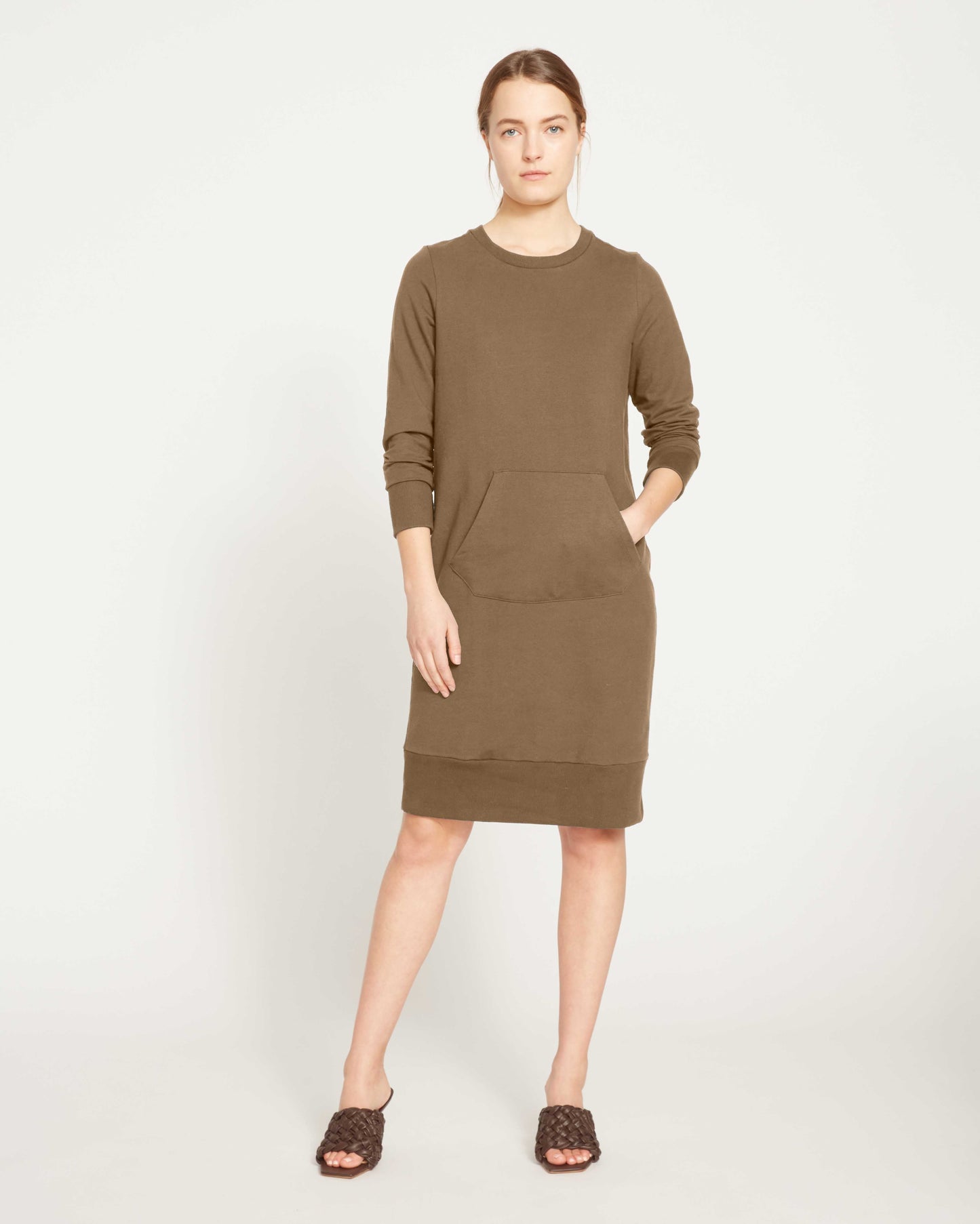 Classic Light Terry Sweatshirt Dress - Crocodile