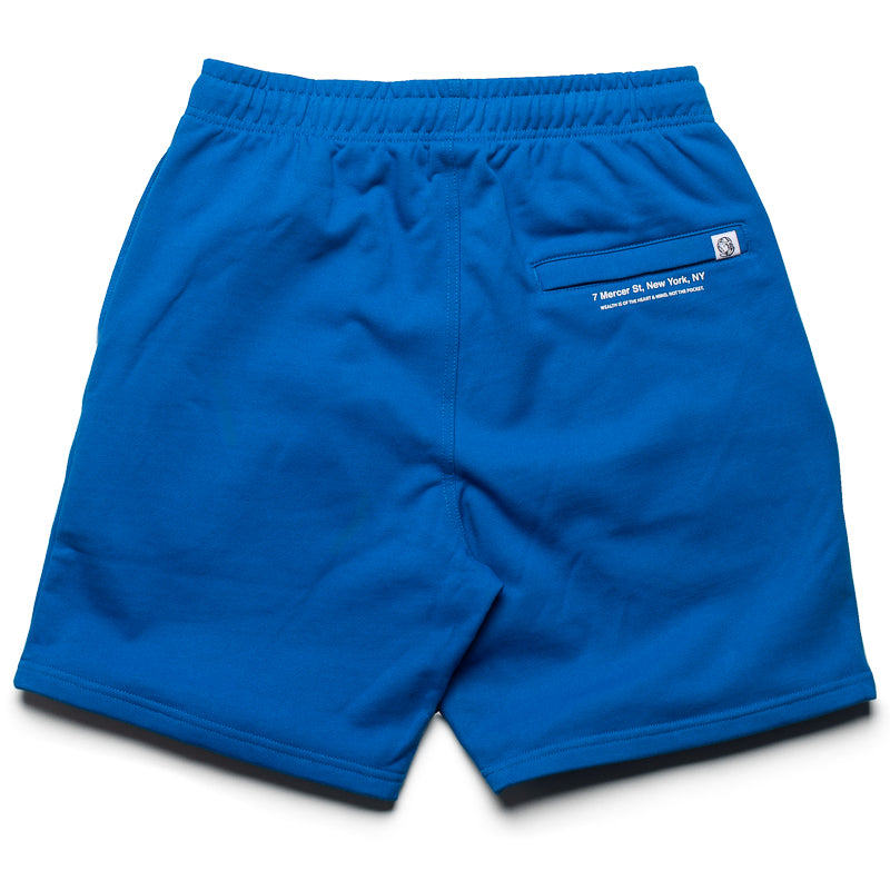 Billionaire Boys Club Trail Shorts - Sky Diver