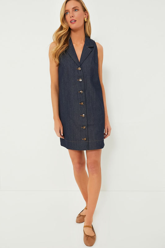 Denim Sleeveless Micah Dress
